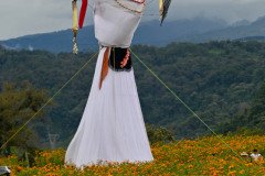 Festival de la flor de Cempasúchil