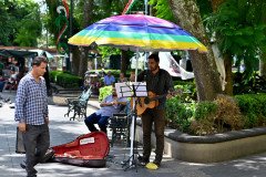 Músico callejero